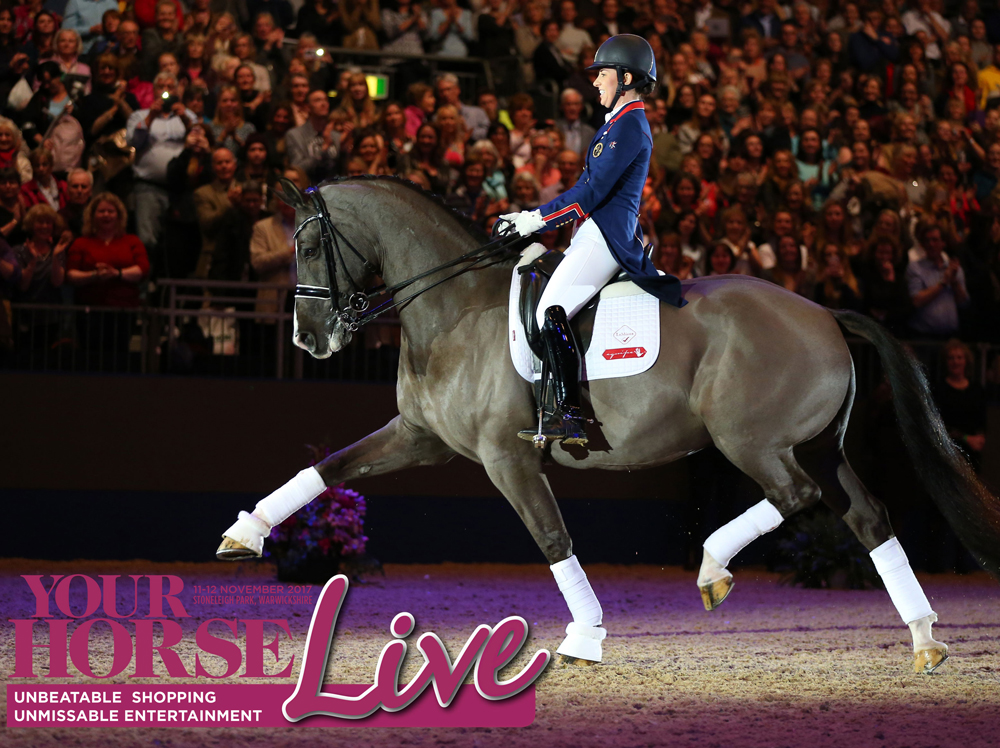 Event Furniture Hire for Your Horse Live Show - BE Event Hire