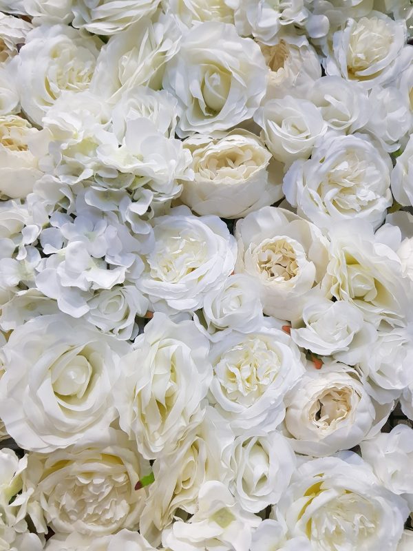 Flower Wall