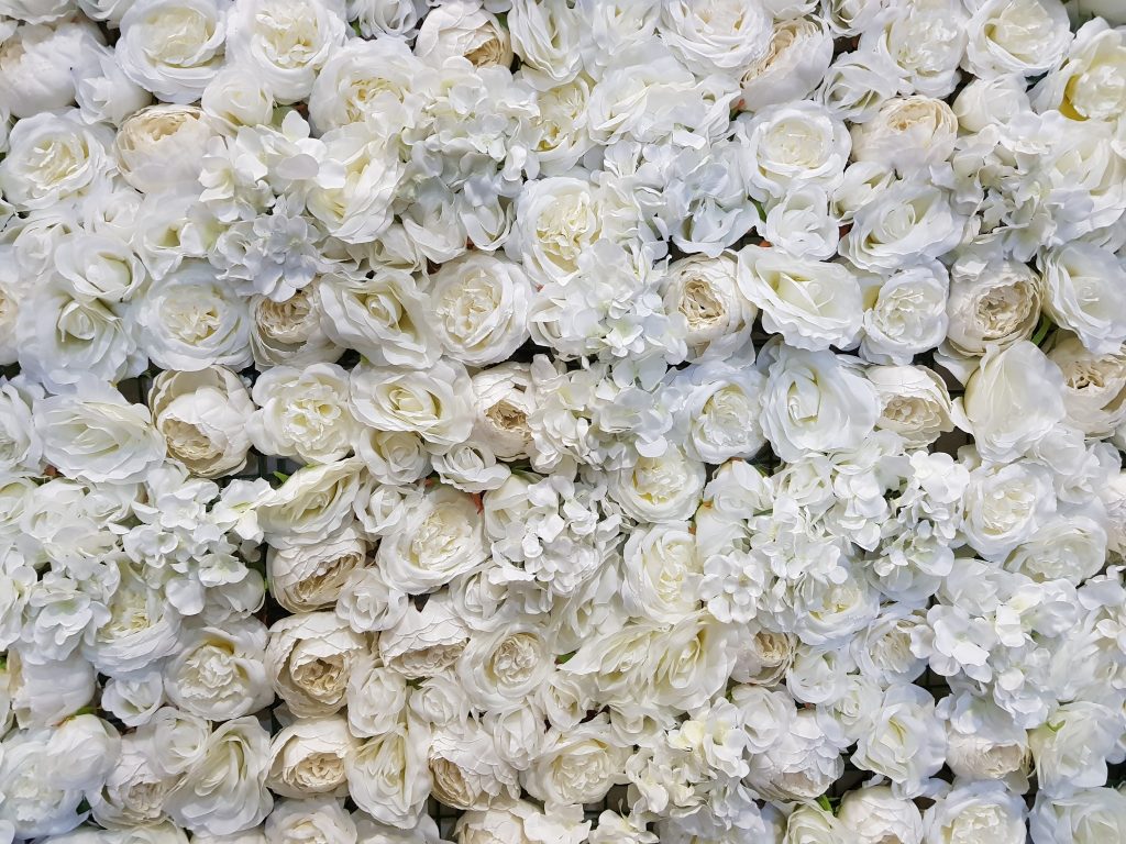 Cream, White or Pink Flower Walls Hire BE Event Hire