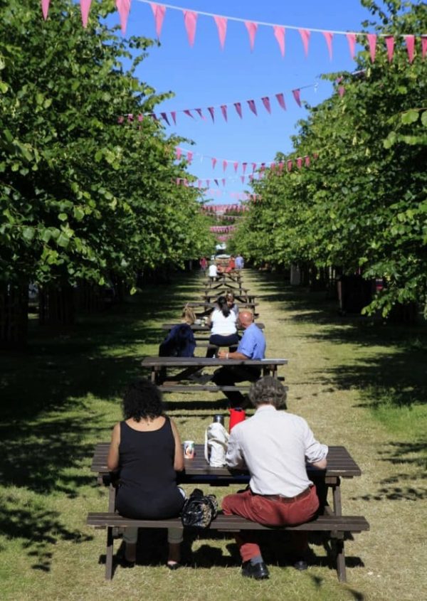 Picnic Table Bench Hire - for 4 people - Hampton Food Festival - BE Event Furniture Hire