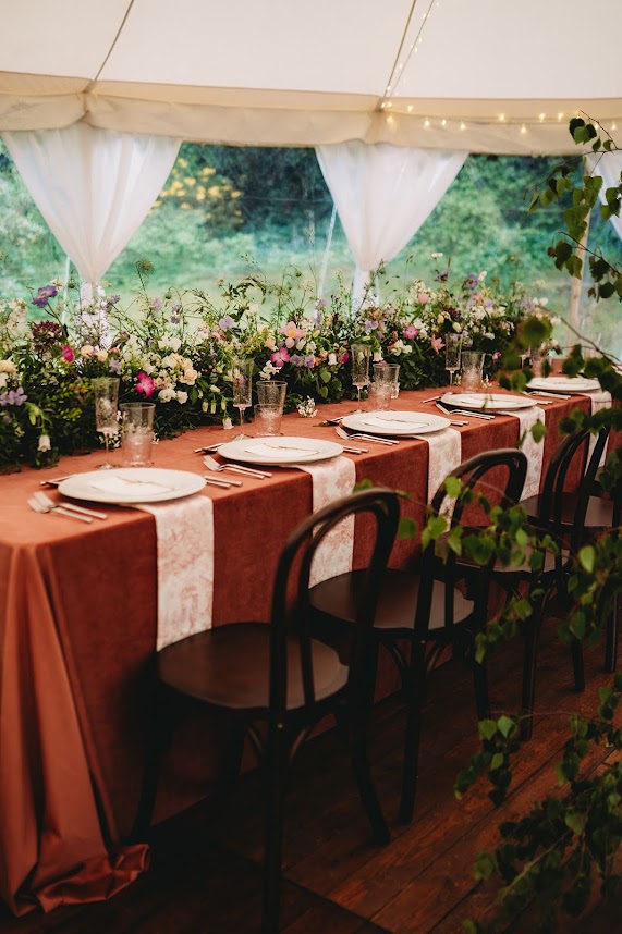 Bentwood chairs 4 Bentwood chairs 4